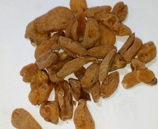 عکس ثعلب
