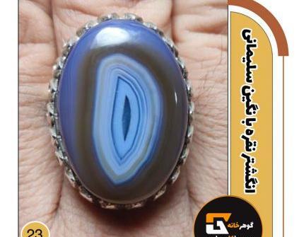 عکس انگشتر شجر دریایی