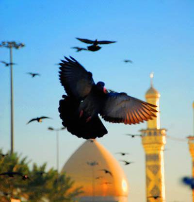 عکس سه بعدی کربلا