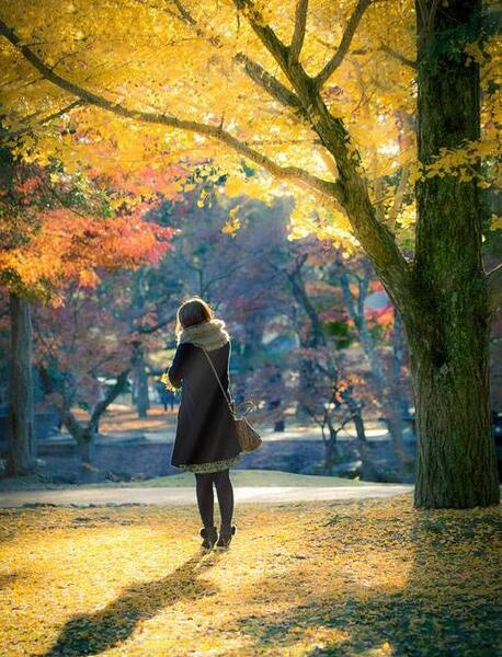 عکس پاییز عاشقانه جدید