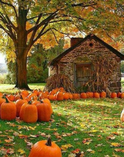 عکس پاییز عاشقانه جدید