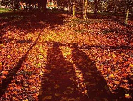 عکس پاییز عاشقانه جدید