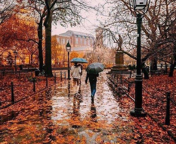 عکس پاییز عاشقانه جدید