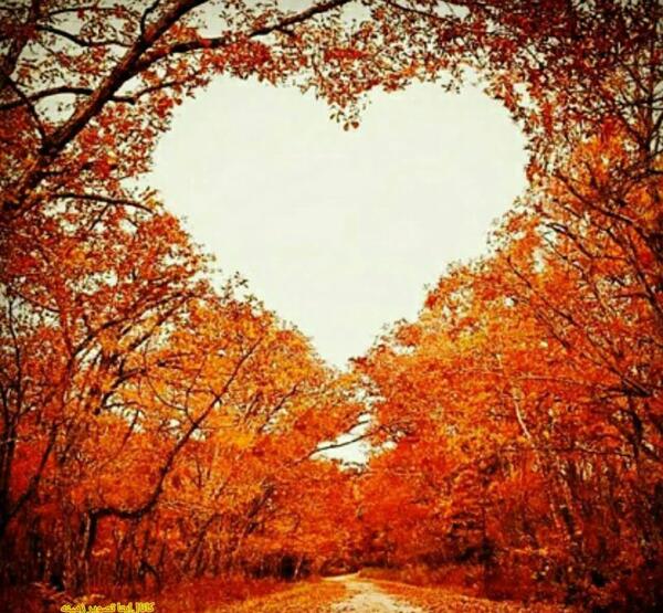 عکس تصویر زمینه پاییزی عاشقانه