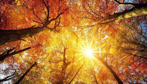 عکس تصویر زمینه پاییزی عاشقانه