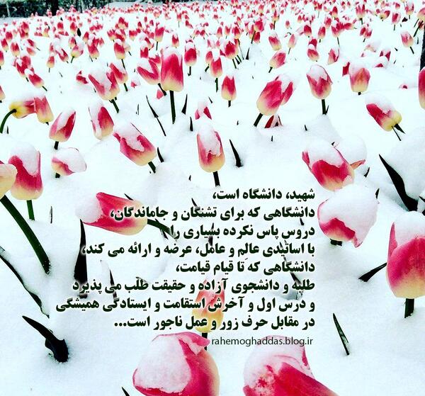 عکس آرزوی شهادت