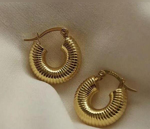 عکس گوشواره حلقه ای جدید