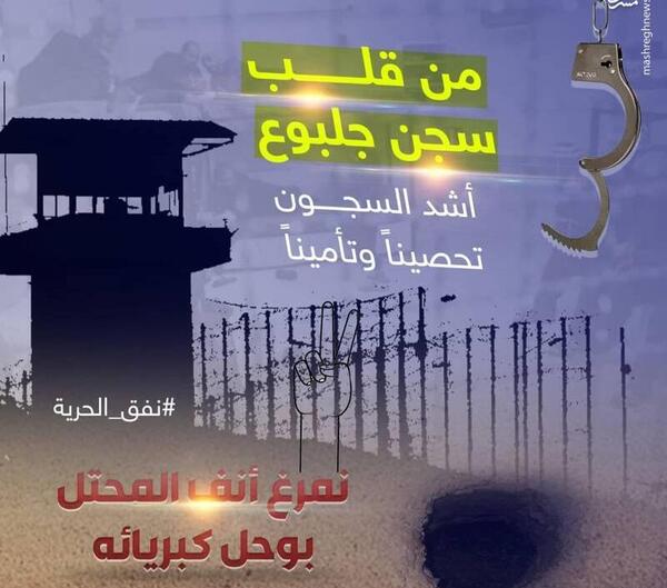 عکس اسرای زن داعش