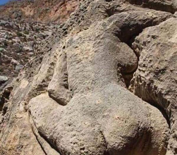 عکس اسرای زن داعش