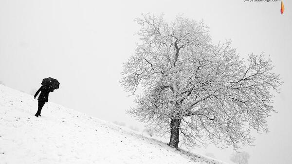 عکس برف هنری