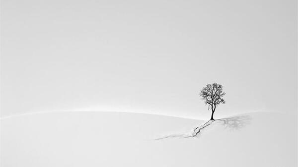 عکس برف هنری