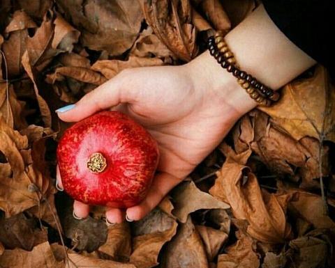 عکس پاییزی خوشگل