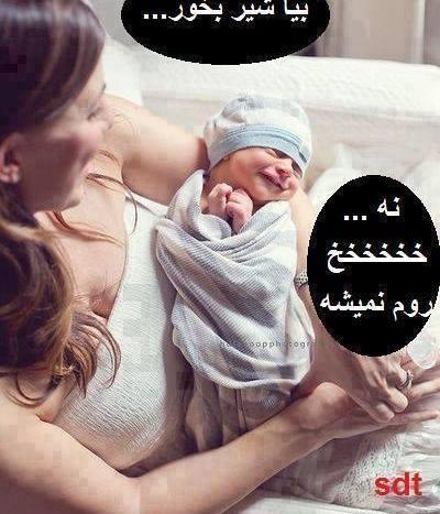 عکس تصاویر زیبای سوسانو