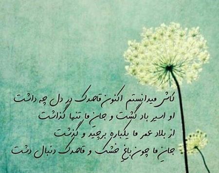 عکس نوشته پروفایل قاصدک