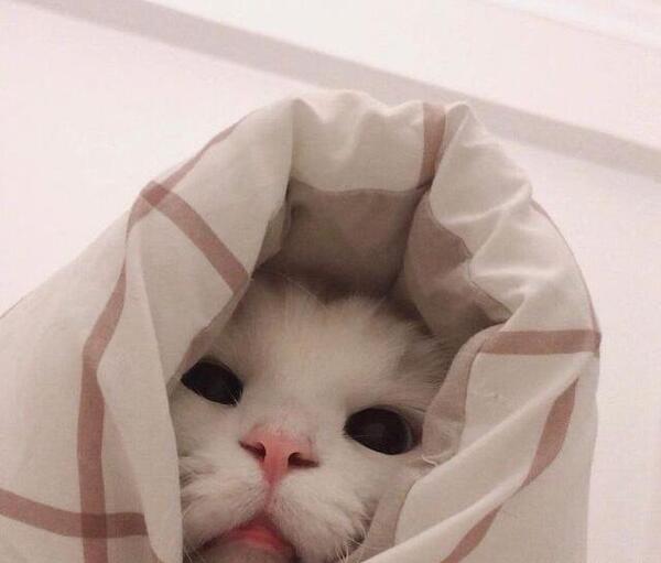 عکس ناراحتی جیسو