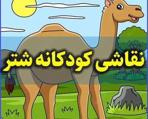 عکس نقاشی صورت شتر