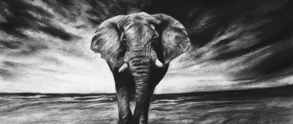 عکس نقاشی چهره با زغال