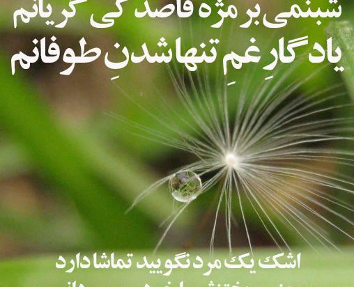 عکس تصاویر زیبای پروفایل واتساپ