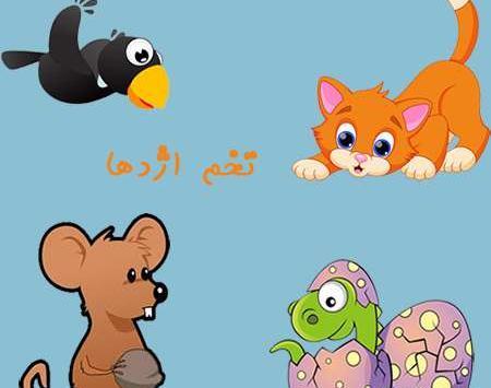 عکس موش ناراحت