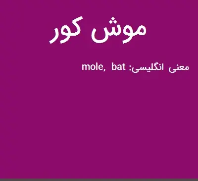 عکس موش ناراحت