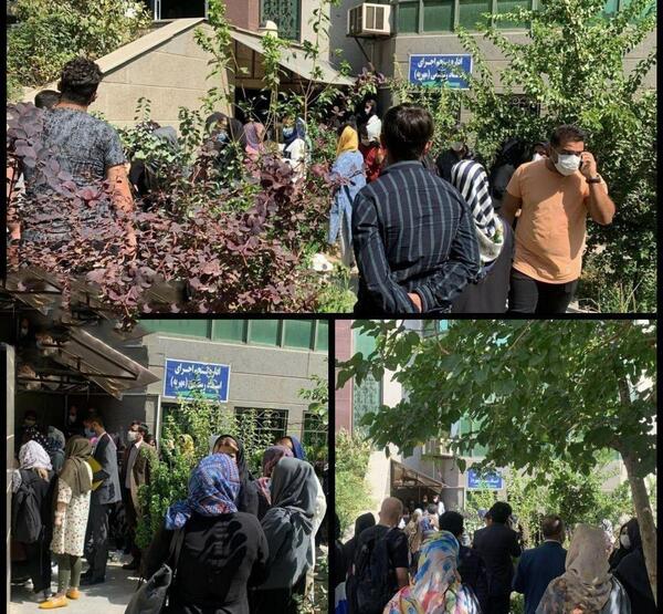 عکس سکه و مهریه