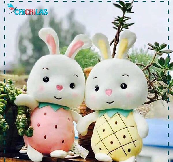 عکس شاه خرگوش