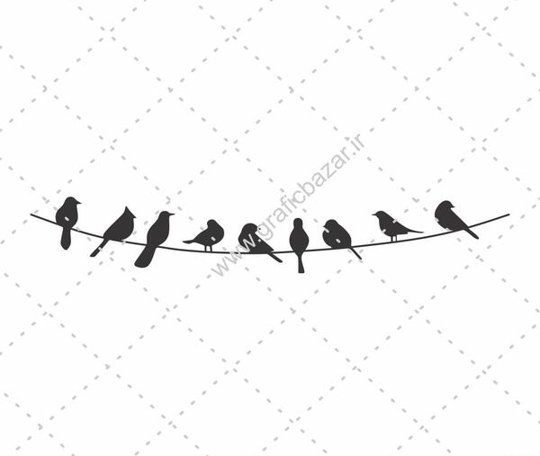 عکس دانلود وکتور پرنده
