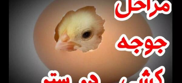 عکس زنان دوره ی قاجار