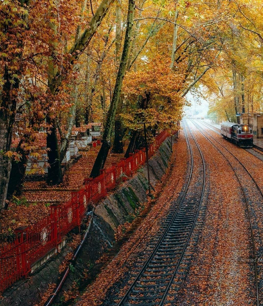 عکس پاییز طبیعی ایران