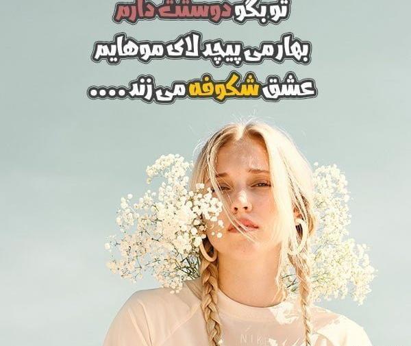 عکس نوشته پروفایل شکوفه