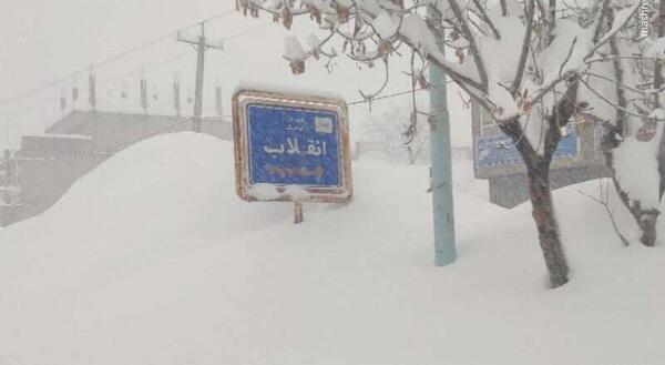 عکس بارش برف در طبیعت
