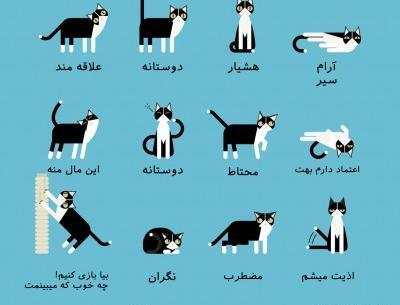 عکس مرینت لوکا