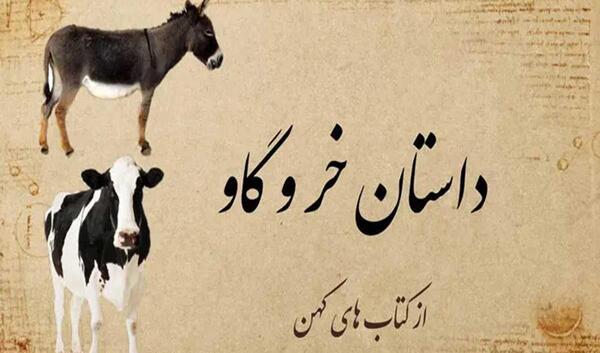 عکس طویله گاو
