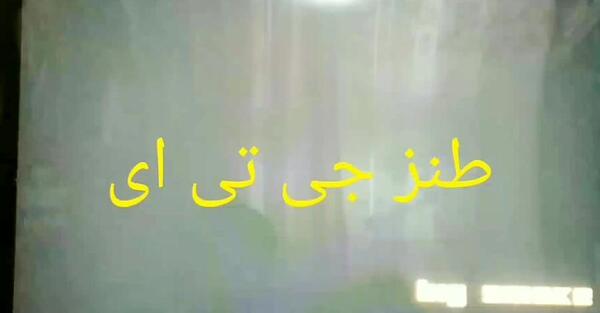 عکس های زیبای یانگوم