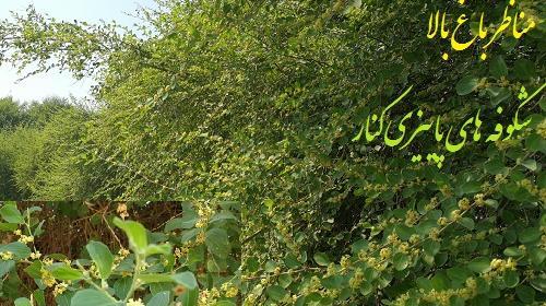 عکس ابو شکور بلخی