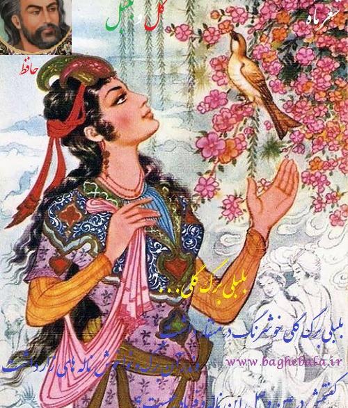 عکس ابو شکور بلخی