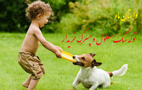 عکس ابو شکور بلخی