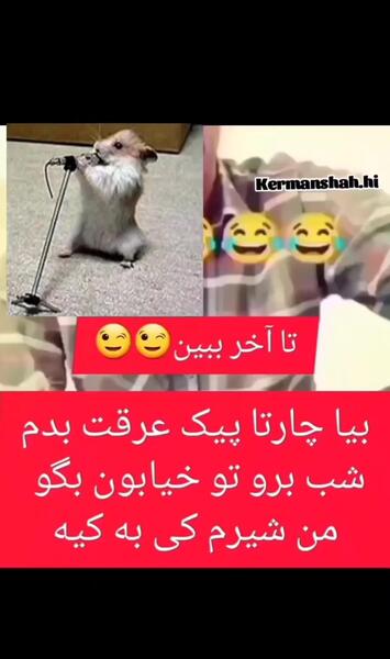 عکس طنز کوروش کبیر