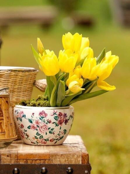 عکس فردا میمیرم