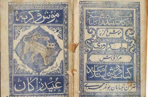 عکس موش گربه