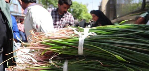 عکس بن سرخ