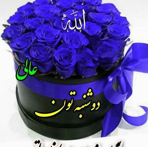 عکس صبح یکشنبه تون بخیر