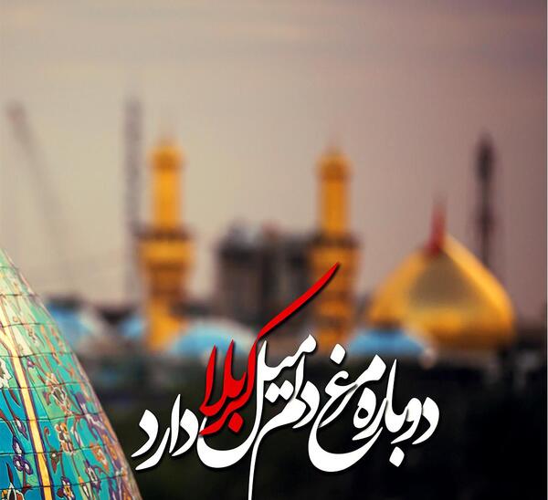 عکس نوشته جز کربلا این دل تمنایی ندارد