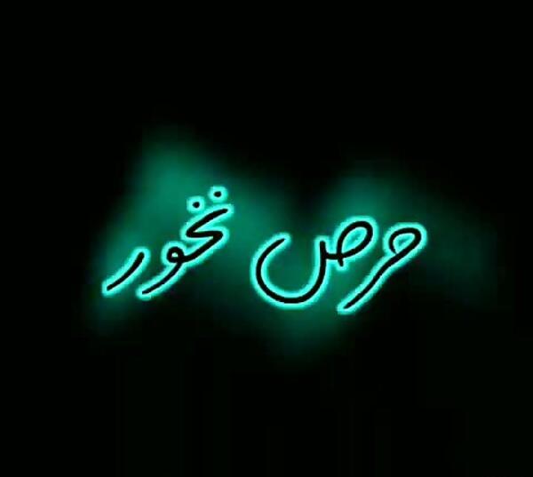 عکس استوری واتساپ گرگ