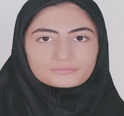عکس پرهام امیری