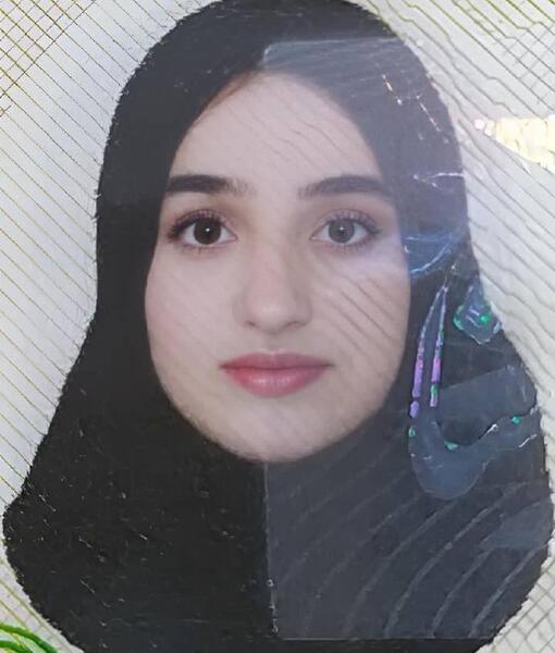 عکس پرهام امیری