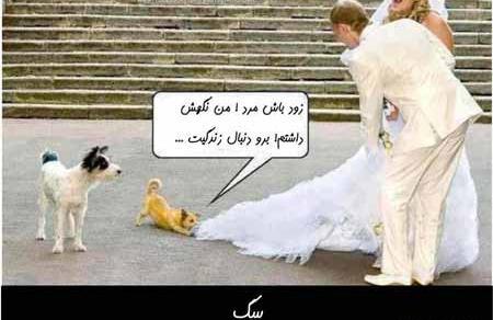 عکس پروفایل پاپیون صورتی