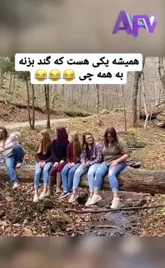 عکس لیسا با گربش