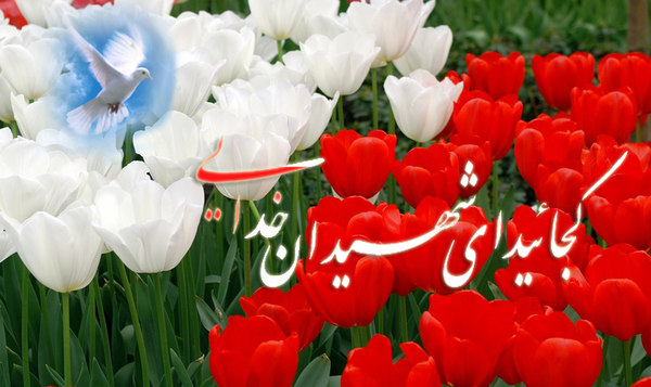 عکس در مورد شهید