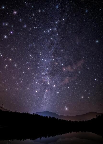 عکس ستاره پروفایل